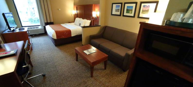 伯利恒舒适套房酒店-近利哈伊大学和LVI机场(Comfort Suites Bethlehem Near Lehigh University and LVI Airport)图片