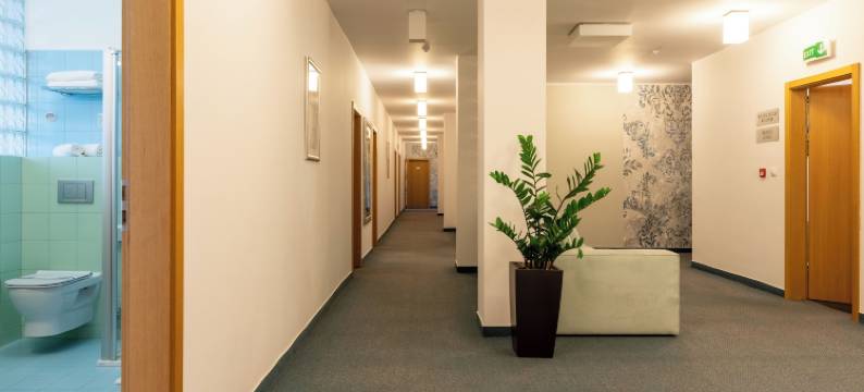 埃伯基康体酒店(Hotel Abácie & Wellness)图片