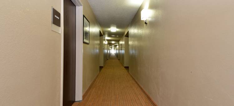 舒眠酒店罗克福德 I-90(Sleep Inn Rockford I-90)图片