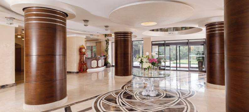 纳夫塔兰梧桐健康酒店(Chinar Health Hotel Naftalan)图片