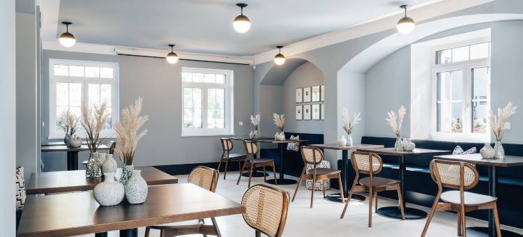 努玛 | 马克西米利安(Numa | Maximilian)图片