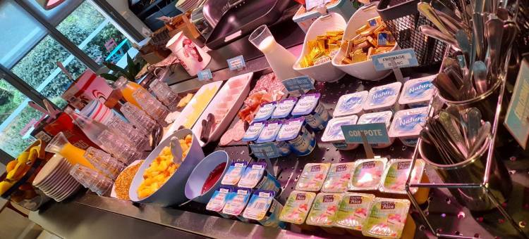 阿格诺基里亚德直达酒店(Kyriad Direct Haguenau)图片