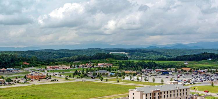 舒适套房旅馆(Comfort Inn & Suites East Ellijay)图片