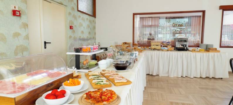 内格雷斯科酒店(Hotel Negresco)图片