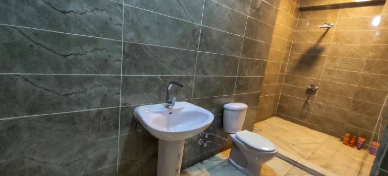 小法老(Little Pharaoh)图片