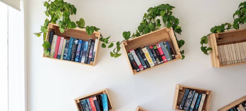 萨丽娜斯开放式公寓酒店(Estudios Salinas - Fuseta)图片