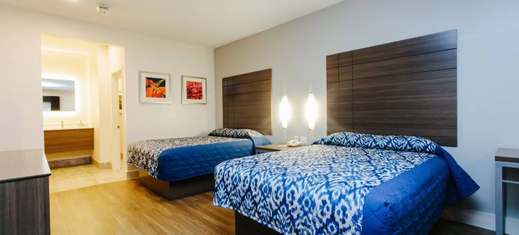 蓝城中心宫殿旅馆(Palace Inn Blue City Centre)图片