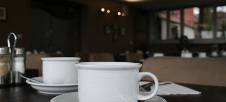 天狼星酒店(Hotel Sirius)图片