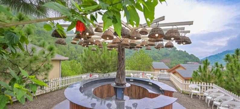 丛林小屋(Jungle Lodge Resort)图片