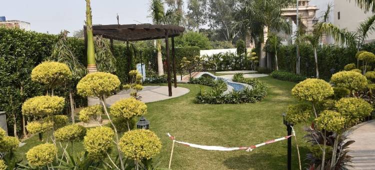 帕拉塔帕瓦西尼舒适客栈(Comfort Inn Pratapvasini)图片