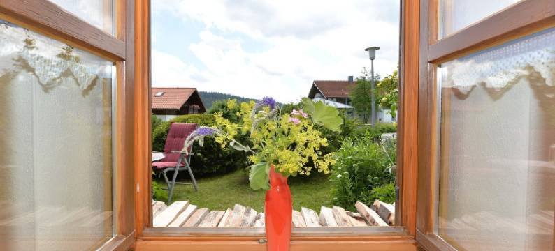 拥有花园的巴伐利亚艾森施泰因公寓(Wohnung in Bayerisch Eisenstein Mit Garten)图片