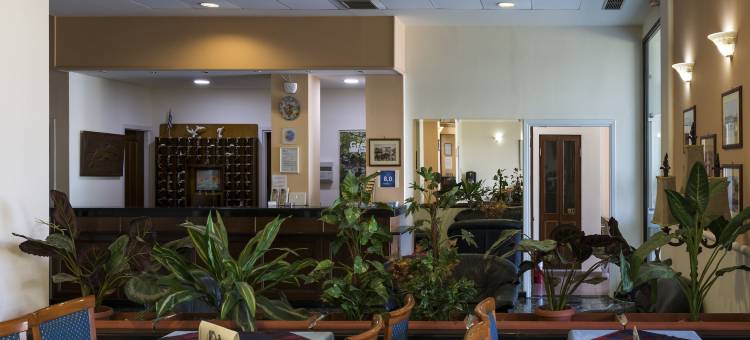 佩特雷斯德尔菲尼酒店(Delfini Hotel)图片