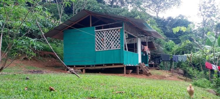 布里布里苏莱(Bribri Ù sule)图片