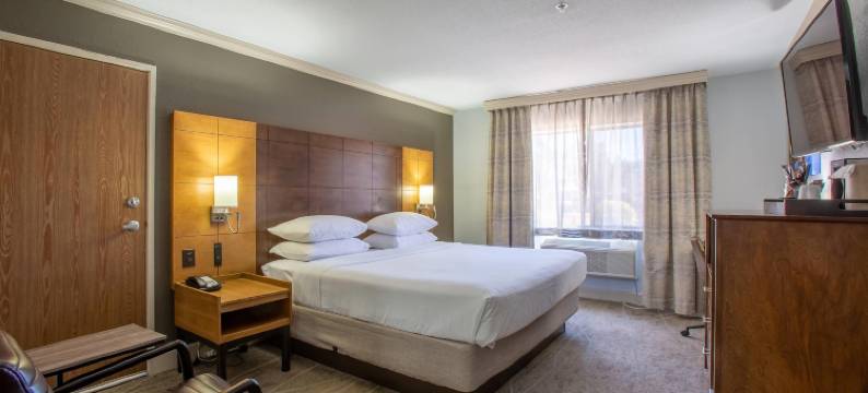 阿罗约皮宁酒店-阿桑德连锁酒店成员(Arroyo Pinion Hotel, Ascend Hotel Collection)图片