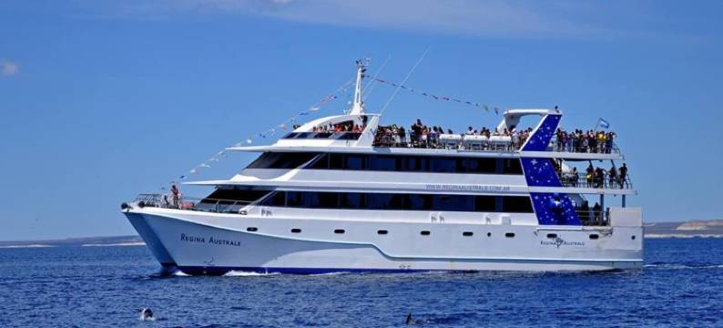 托斯卡旅舍(La Tosca Hostel)图片