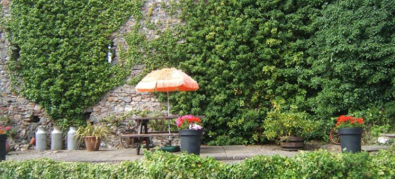 斐斯酒店(Faythe Guesthouse)图片