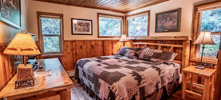 科罗拉多熊溪小屋酒店(Colorado Bear Creek Cabins)图片