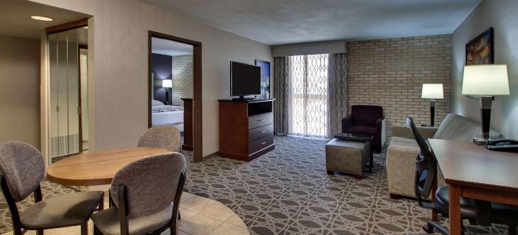 圣安东尼奥机场德鲁里广场酒店(Drury Plaza Hotel San Antonio Airport)图片