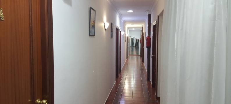 利奥餐厅青年旅舍(Hostal El Lirio)图片