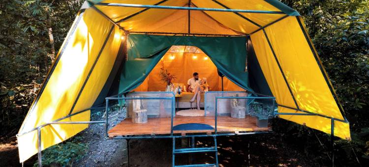 哈玛德里亚山林小屋酒店(Hamadryade Lodge)图片