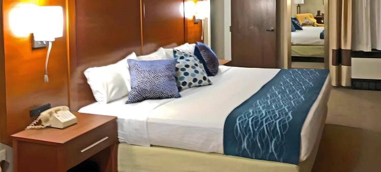 伊利 - 普雷斯克岛附近舒适酒店(Comfort Inn, Erie - Near Presque Isle)图片