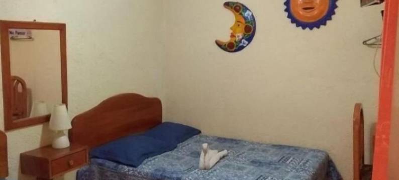 加拉安娜之家酒店(Hotel Casa Galeana)图片