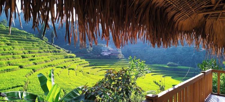 Binh Ban Lien民宿(Binh Ban Lien Homestay)图片
