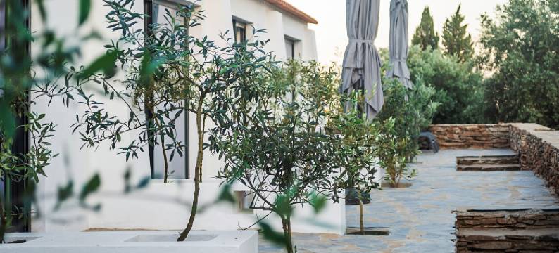 圣保罗修道院乡村酒店(Convento Sao Paulo - Hotel Rural)图片