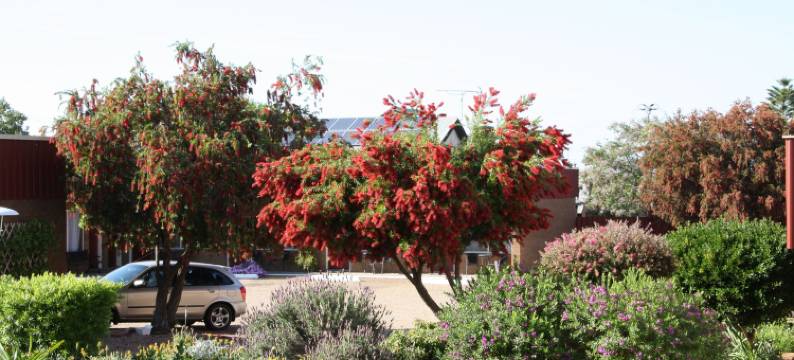 茶花汽车旅馆(Camellia Motel)图片