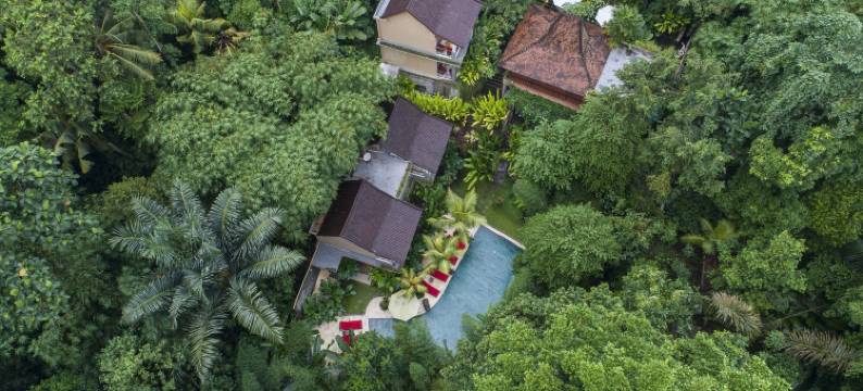 中央乌布丛林天堂度假村(Jungle Haven Resort Central Ubud)图片