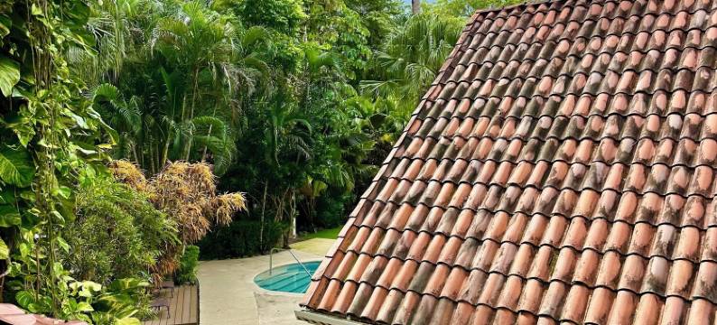 埃尔芒格拉尔和坎塔拉纳酒店(Hotel El Manglar y Cantarana)图片