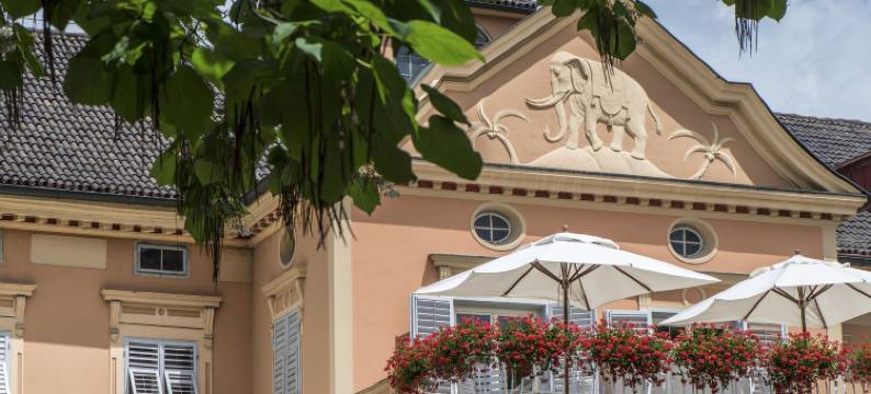 大象酒店(Hotel Elephant)图片