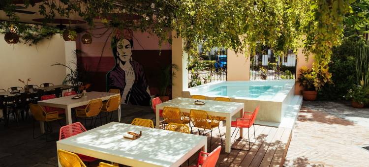 圣特罗皮科精品酒店与和平逃避(San Trópico Boutique Hotel & Peaceful Escape)图片