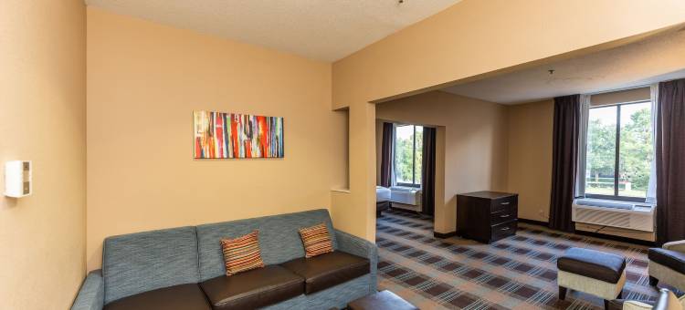 舒适套房酒店-休斯顿西克莱路(Comfort Suites Houston West at Clay Road)图片