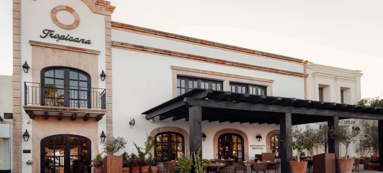 希尔顿塔佩斯特里精选洛斯卡沃斯热带酒店(Tropicana Los Cabos, Tapestry Collection by Hilton)图片