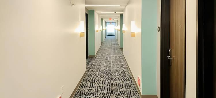 纳什维尔舒适酒店及套房(Comfort Inn & Suites)图片