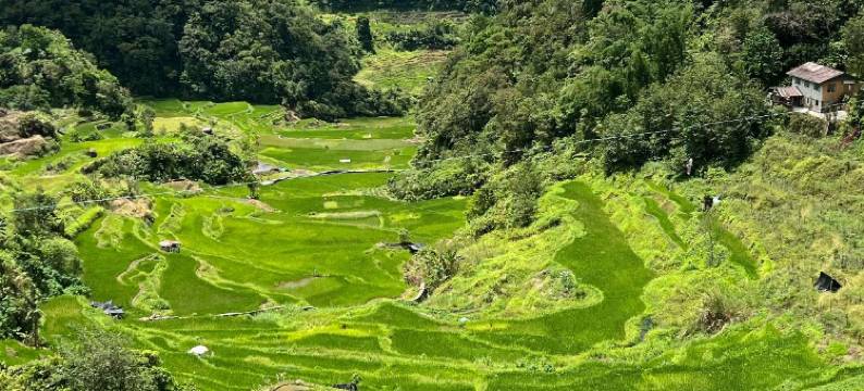 巴纳韦格林菲尔德餐厅旅馆(Banaue Greenfield Inn and Restaurant)图片