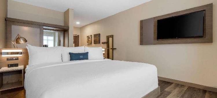 劳德代尔堡海滩坎布里亚酒店(Cambria Hotel Fort Lauderdale Beach)图片