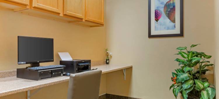 索科罗舒适套房酒店(Comfort Inn & Suites)图片