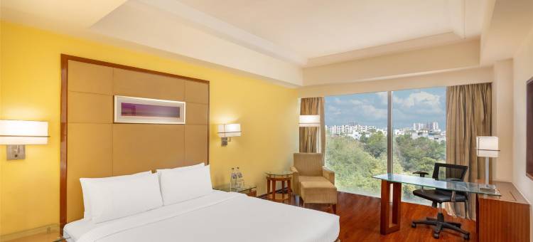 古尔冈丽柏酒店(Park Inn Gurgaon)图片