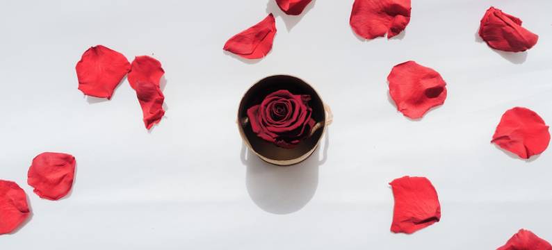 米尼奥岛皇家驿站(L'Escale Royale Poissy Ile de Migneaux)图片