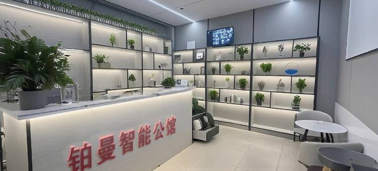 铂曼智能公馆(清溪三中路店)图片
