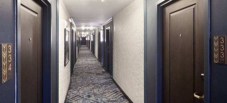 罗伊尔酒店厄巴纳尚佩恩希尔顿塔佩斯特里精选酒店(Hotel Royer Urbana Champaign, Tapestry Collection by Hilton)图片