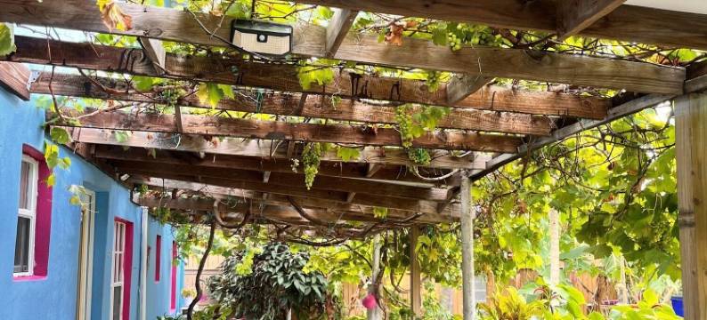 爱伦湾别墅酒店(Ellen Bay Cottages)图片