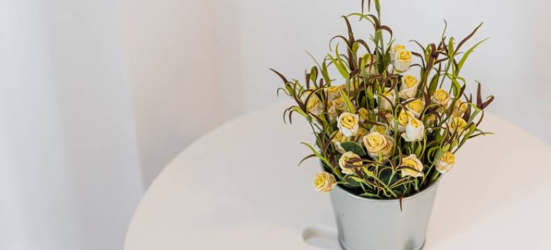 GuestReady - Music Flats 2图片