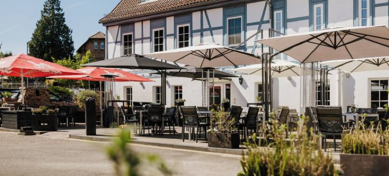 哈兹古恩特斯伯格酒店 - 限成人(HarzHotel Güntersberge)图片