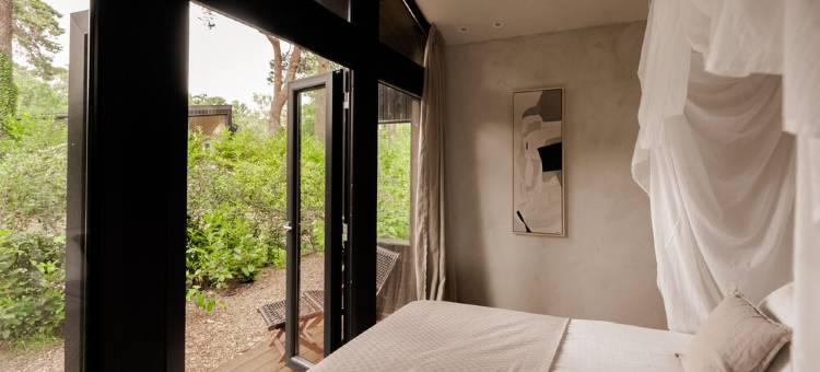 Luxury Spa Tiny House with hottub, in the woods, Japandi style图片