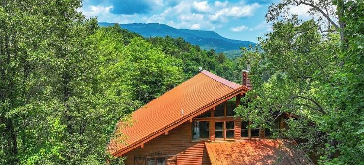 Stunning Views! Huge Game Room, Vaulted Ceilings, Big Bedrooms, & Great Parking!图片
