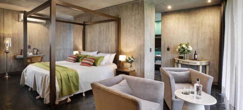 天空之间葡萄酒与健康酒店(Entre Cielos Wine & Wellness Hotel)图片