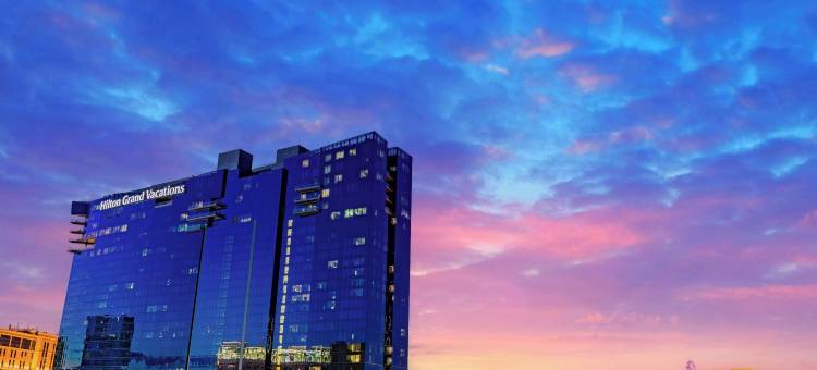 希尔顿俱乐部伊拉拉拉斯维加斯(Hilton Club Elara Las Vegas)图片